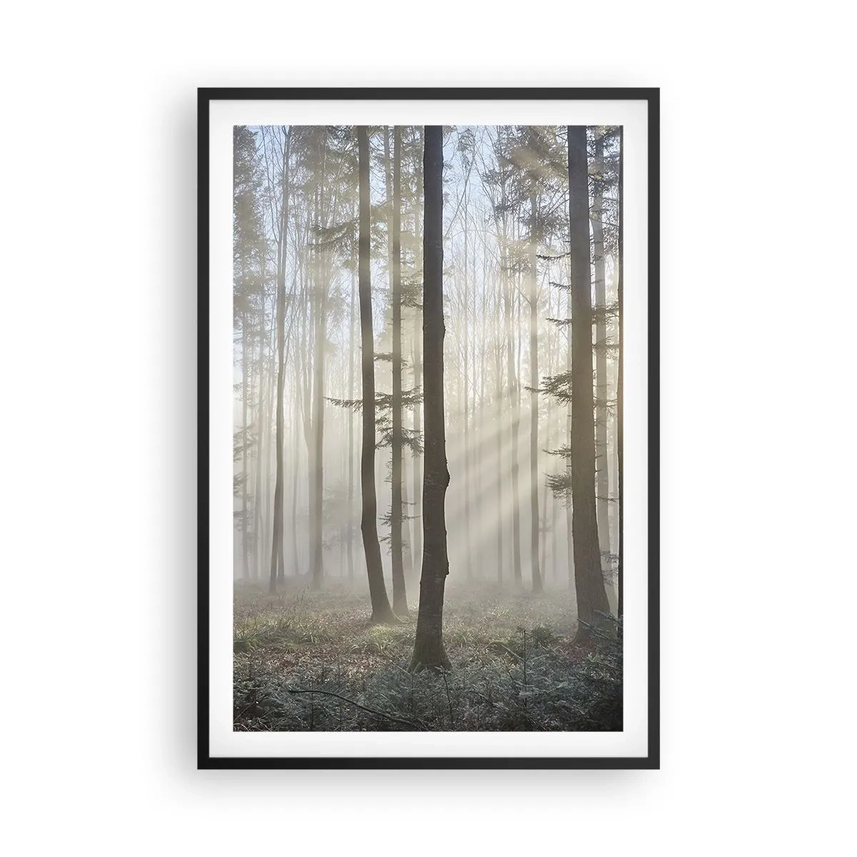 Affisch i svart ram - Dimman är också vaken - 61x91 cm