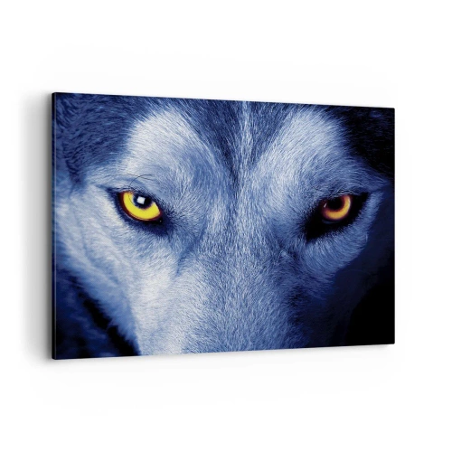 Canvastavla - Bild på duk - Hypnotiserade titt - 100x70 cm