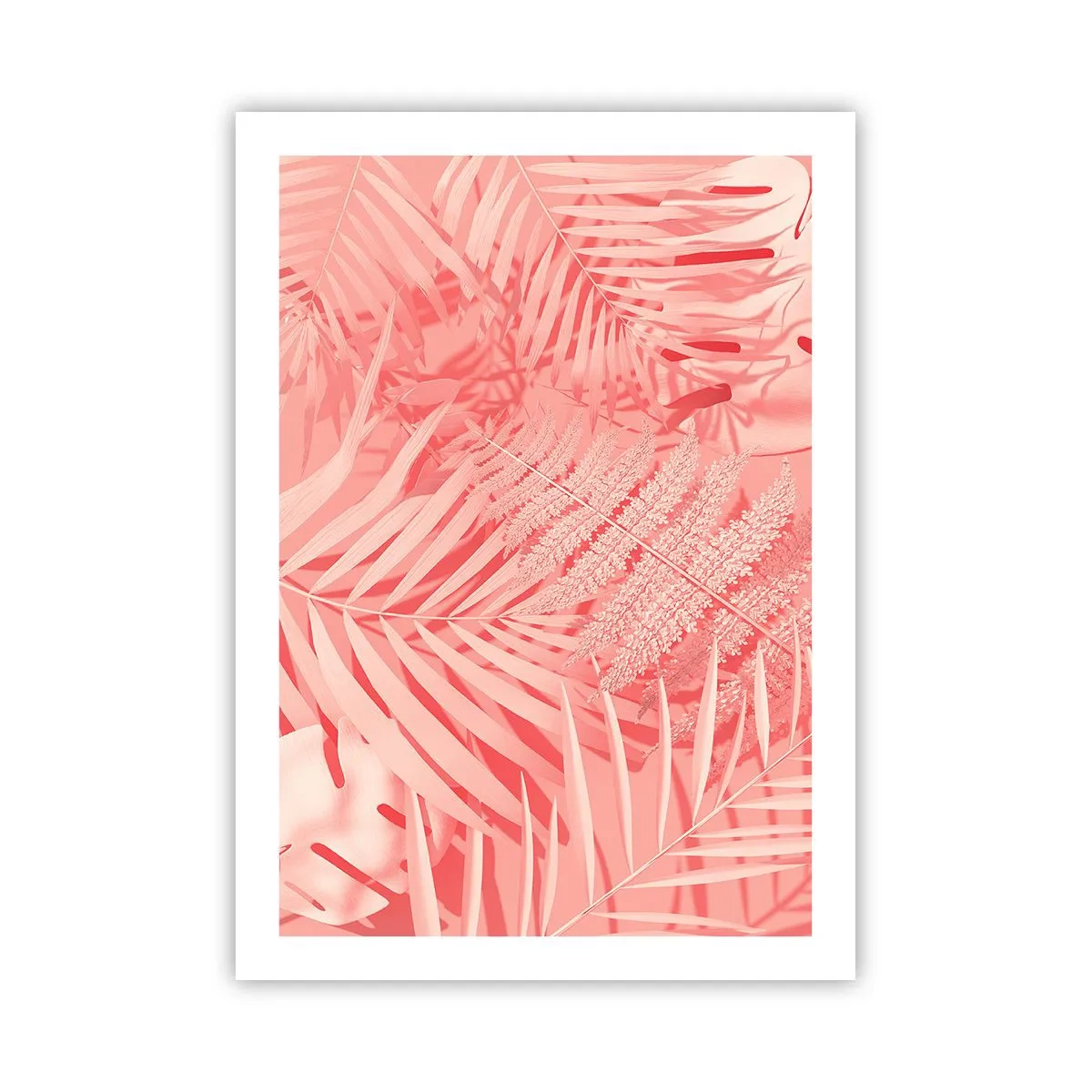 Affisch - Rosa koncept - 50x70 cm