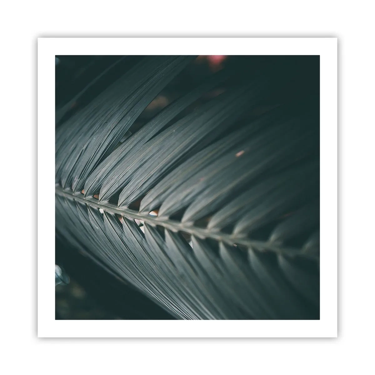 Affisch - Naturens precision - 60x60 cm