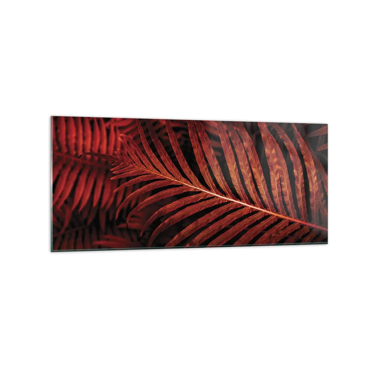 Glastavla - Bild på glas - Livets glöd - 120x50 cm