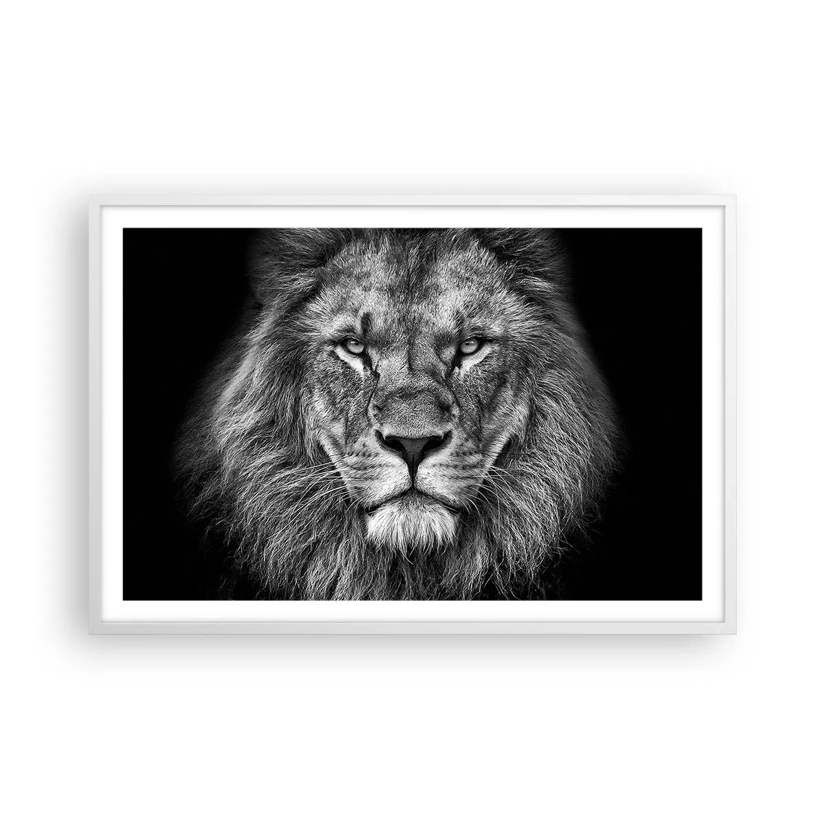 Affisch i vit ram - I kröningskläder - 91x61 cm