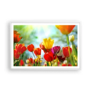 Affisch i vit ram - Solens alla färger - 91x61 cm