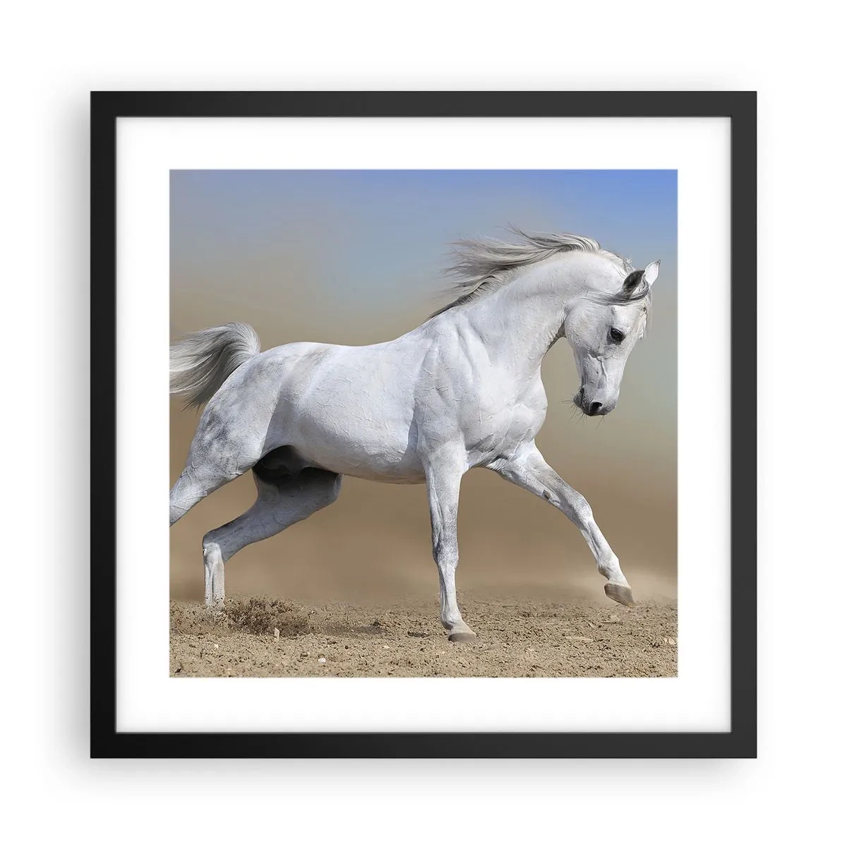 Affisch i svart ram - Den vackraste arabiska sagan - 40x40 cm