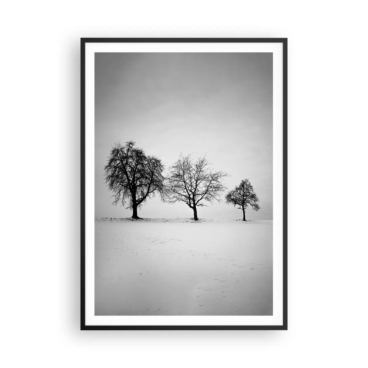 Affisch i svart ram - Vad drömmer de om? - 70x100 cm