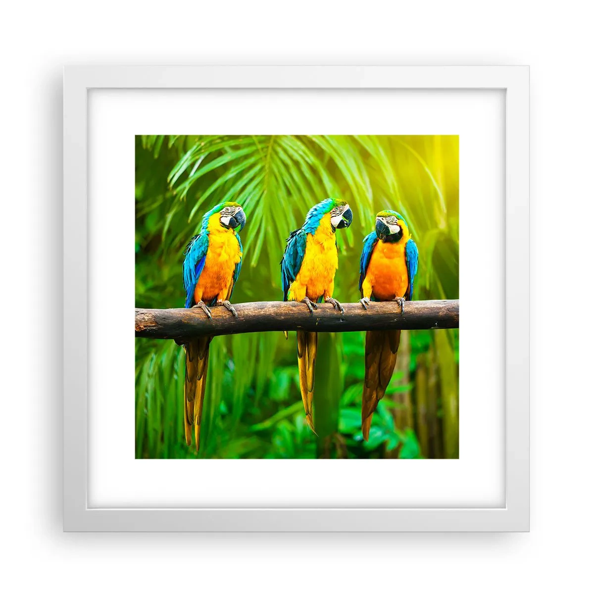 Affisch i vit ram - Har du hört att hon...? - 30x30 cm