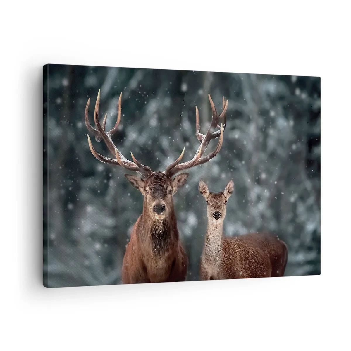 Canvastavla - Bild på duk - Hjort i en snötäckt vinterskog - 70x50cm - Skogens herre med hustrun - Modern väggdekoration för vardagsrum och sovrum ARTTOR