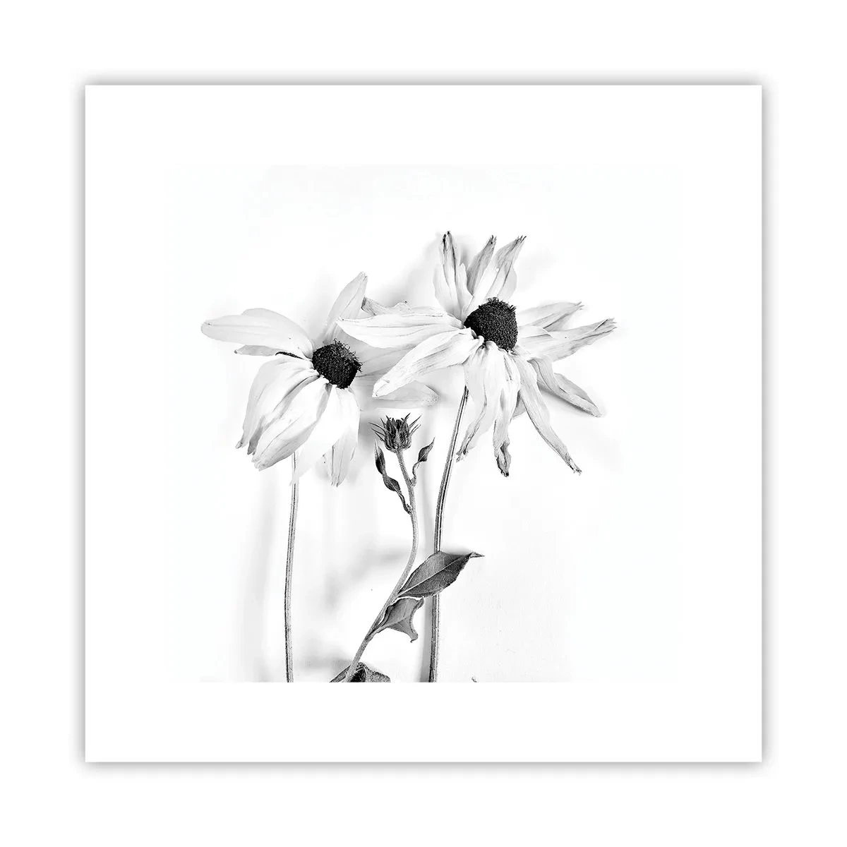 Affisch - Ingen vill vara ensam - 30x30 cm