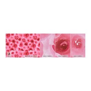 Provbit av fototapet Premium Canvas - Rosor upe och nere - Blommor, Skönhet, Romantik - 100x30 cm
