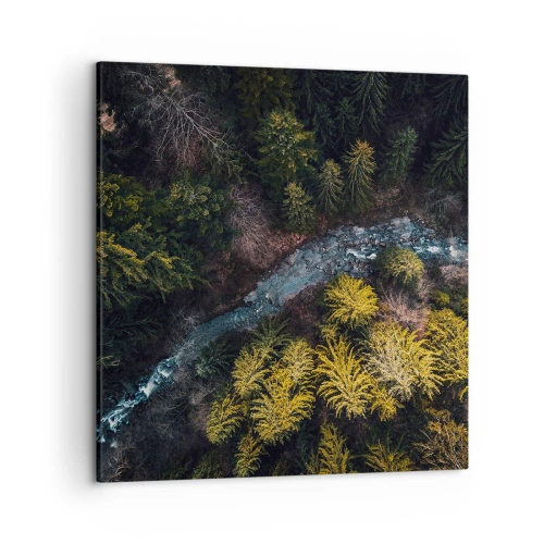Canvastavla - Bild på duk - Snabbt, allt snabbare - 50x50 cm