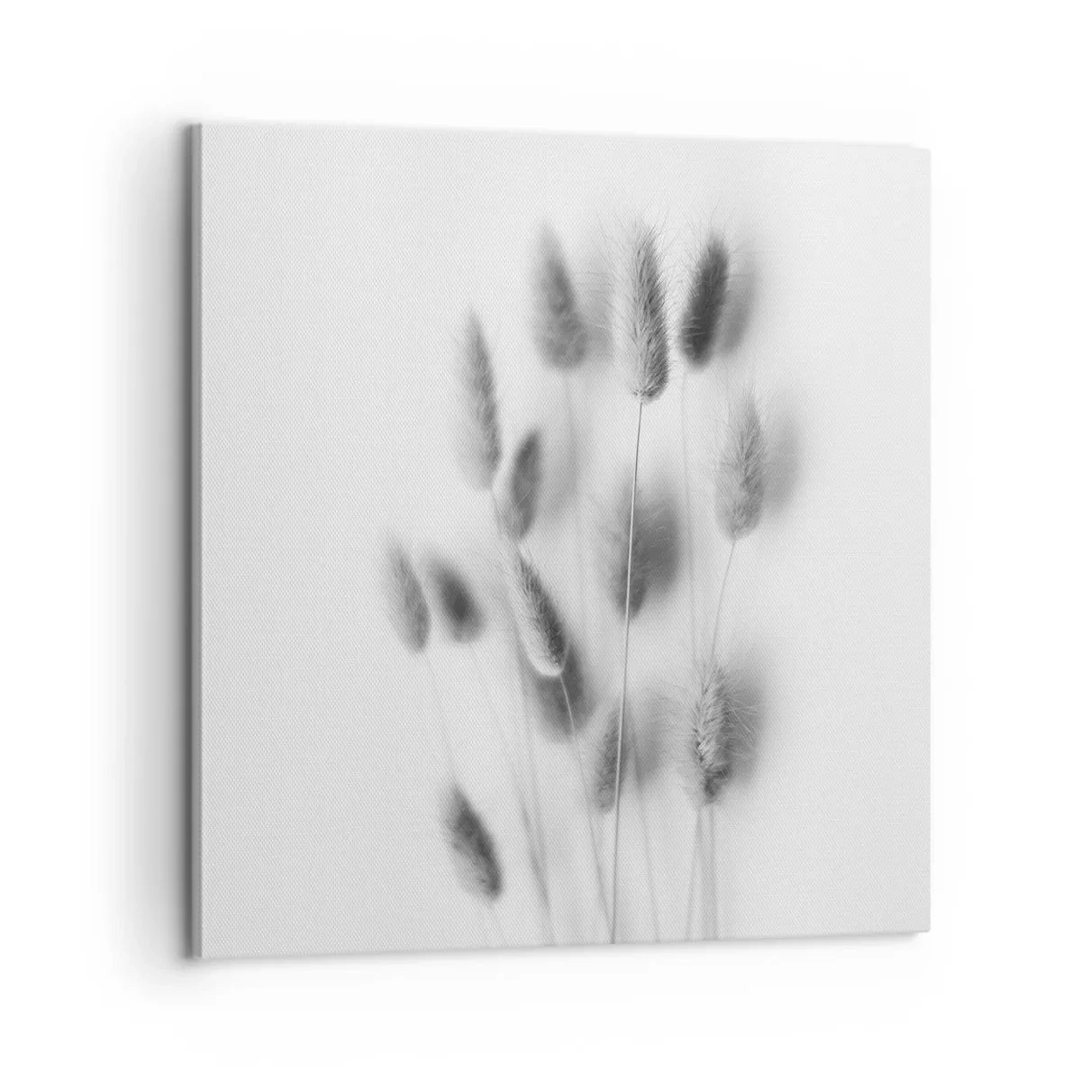 Canvastavla - Bild på duk - Fluffigt gräs - 60x60 cm