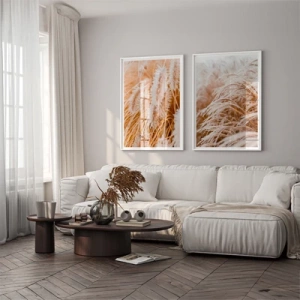 Ornamental grass - Inspiration till vardagsrummet