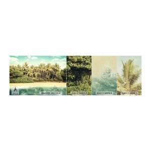 Provbit av fototapet Premium Sand - Kanske här? - Landskap, Strand, Kokosnötspalm - 100x30 cm