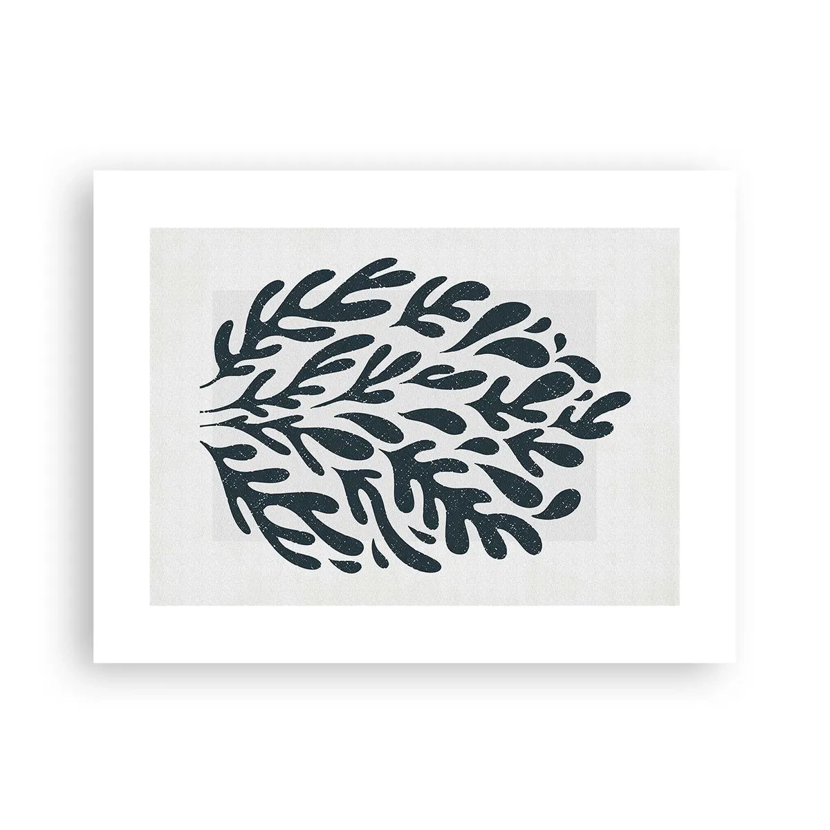 Affisch - Naturens former - 40x30 cm