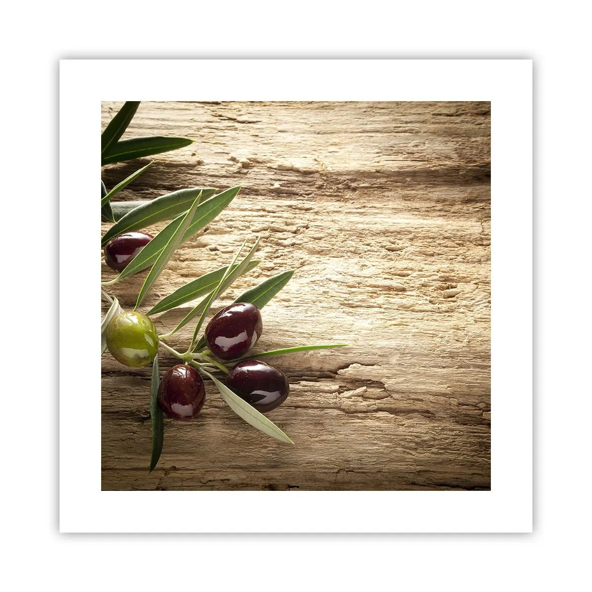 Affisch - Direkt från naturen - 40x40 cm