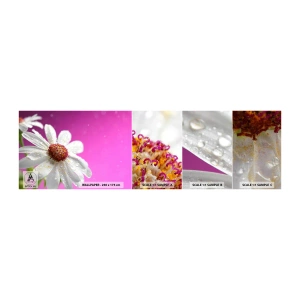 Provbit av självhäftande fototapet Deluxe Sticker - Sparsam i sin skönhet - Blomma, Natur, Trädgård - 100x30 cm