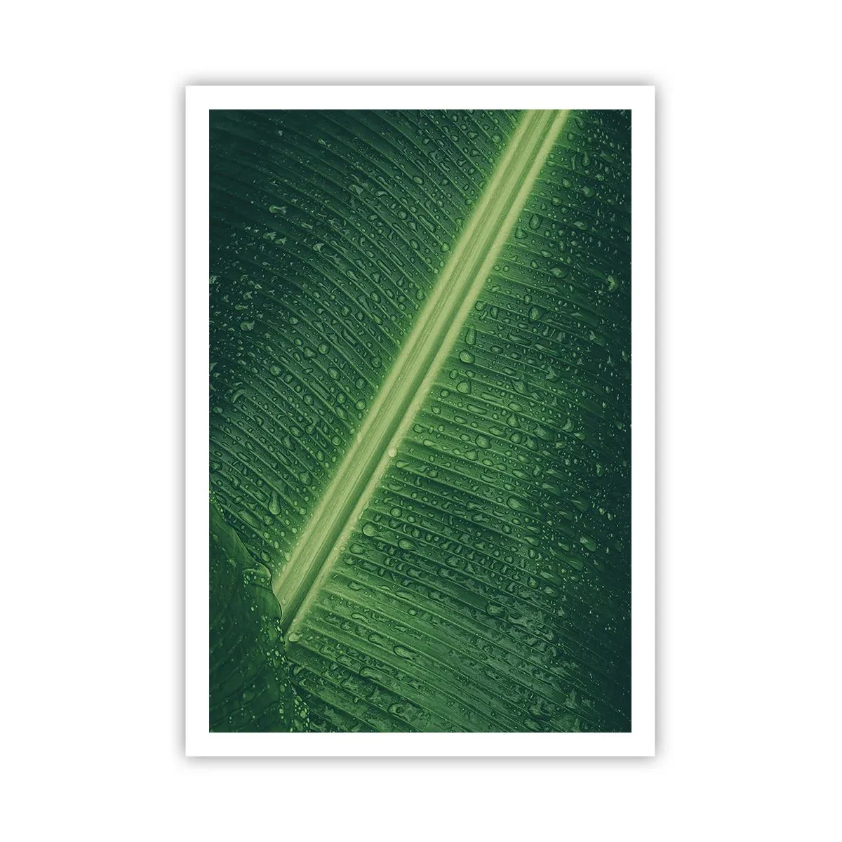 Affisch - Grönskans struktur - 70x100 cm