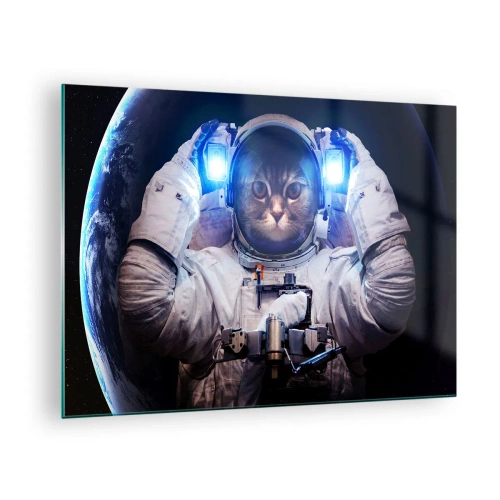 Glastavla - Bild på glas - En katthuvudkosmonaut i rymden - 70x50cm - Houston, ni har problem - Modern väggdekoration för vardagsrum och sovrum ARTTOR