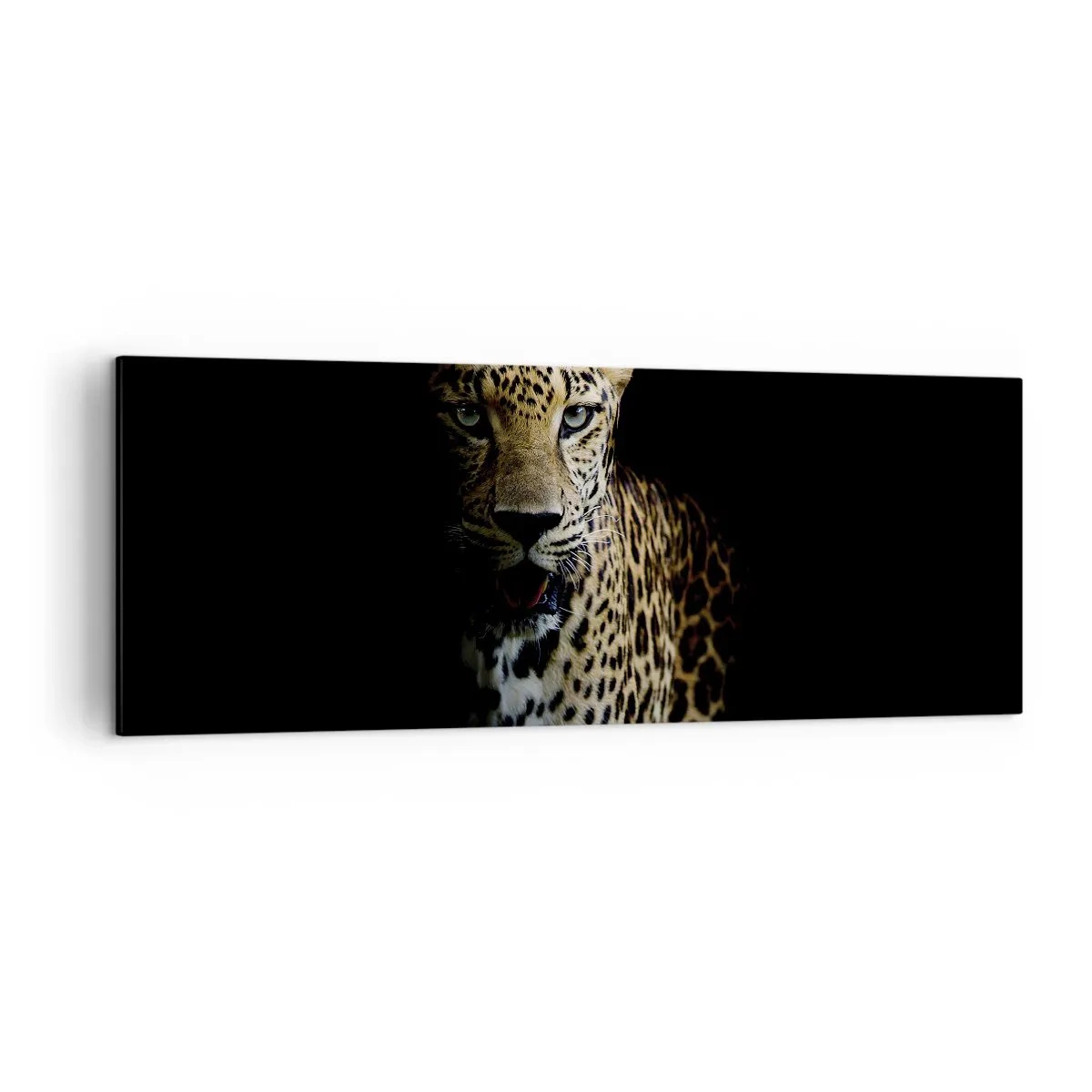 Canvastavla - Bild på duk - Mörk skönhet - 140x50 cm