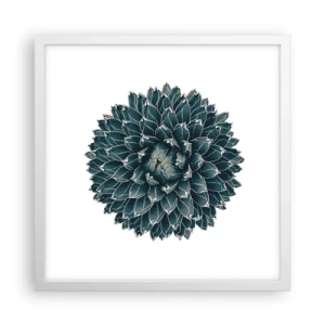 Affisch i vit ram - Öknens stjärna - 40x40 cm