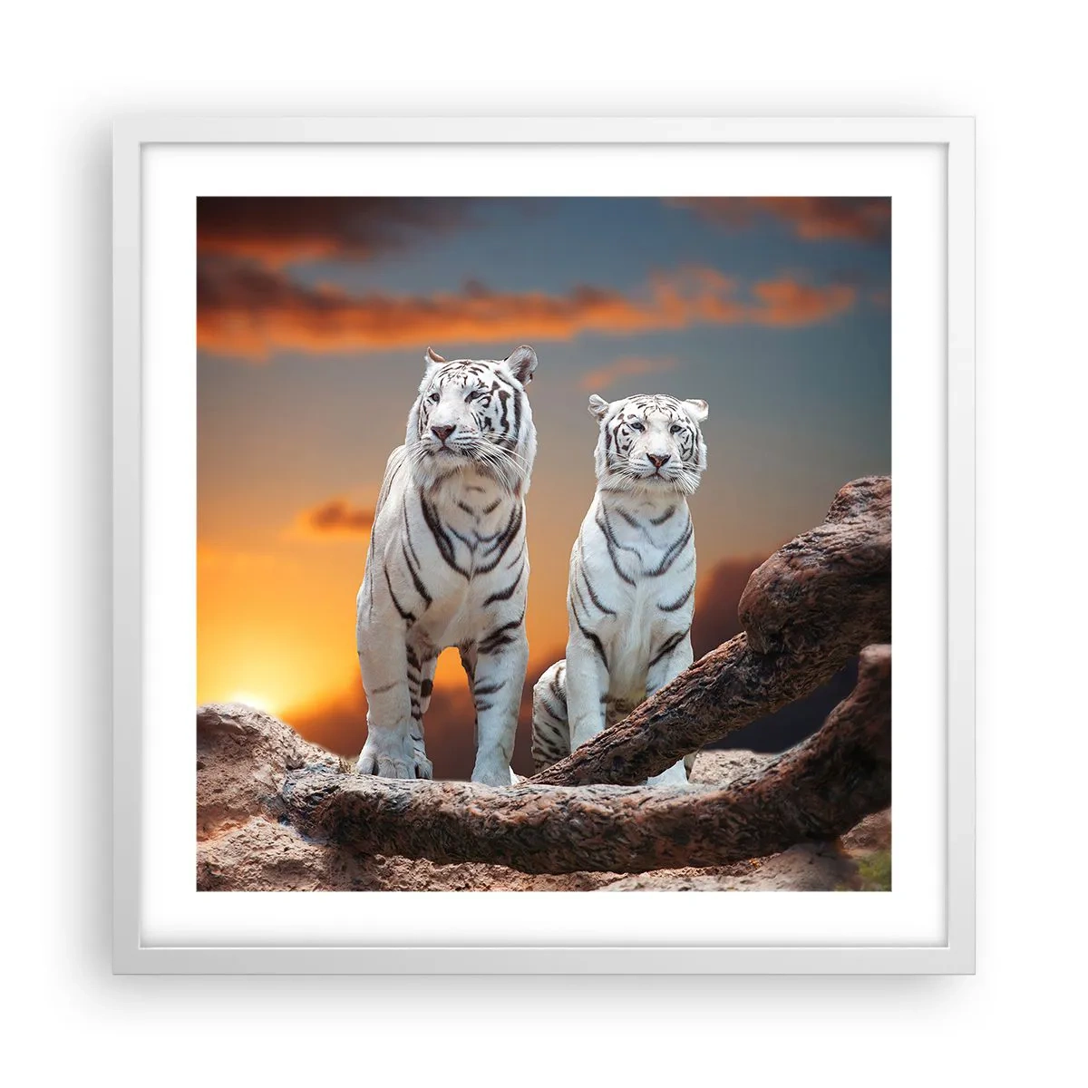 Affisch i vit ram - Helt som i Narnia - 50x50 cm