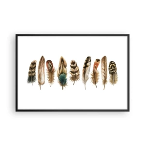 Affisch i svart ram - Fjädervariation - 91x61 cm