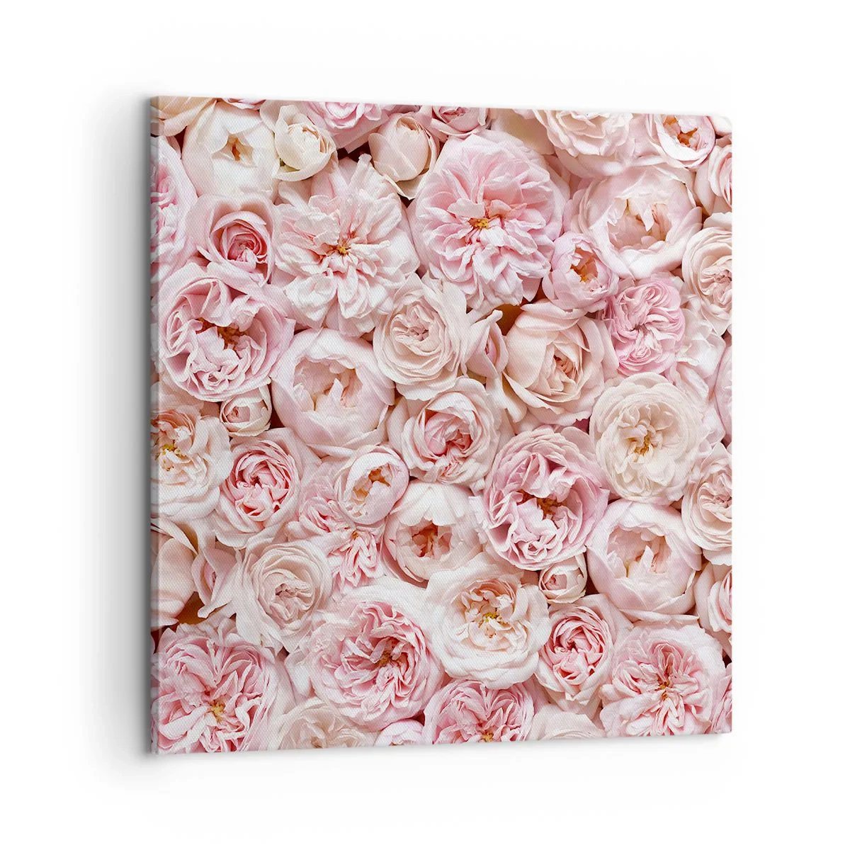 Canvastavla - Bild på duk - Strödd med rosor - 60x60 cm