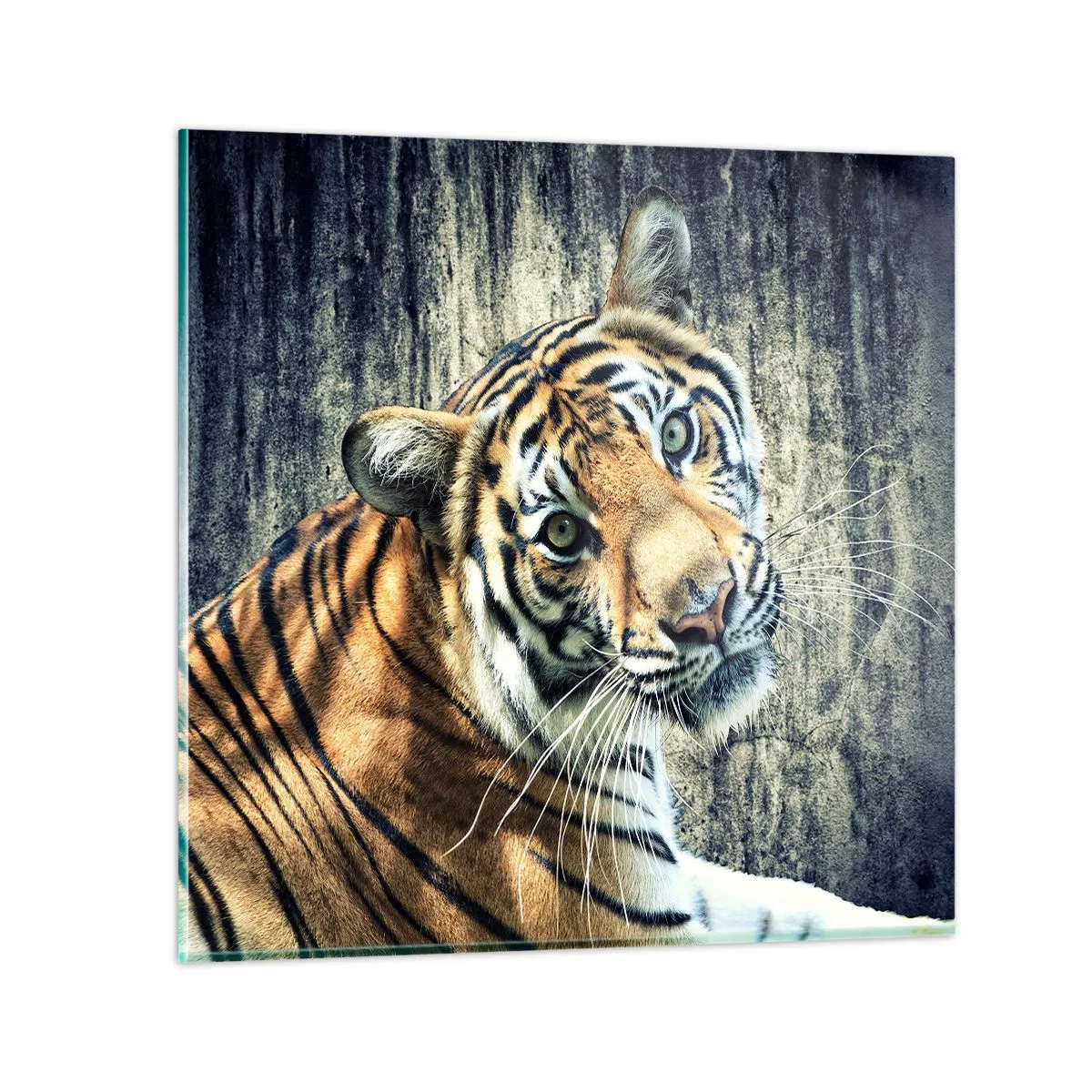 Glastavla - Bild på glas - Porträtt i ljusstrålar - 50x50 cm