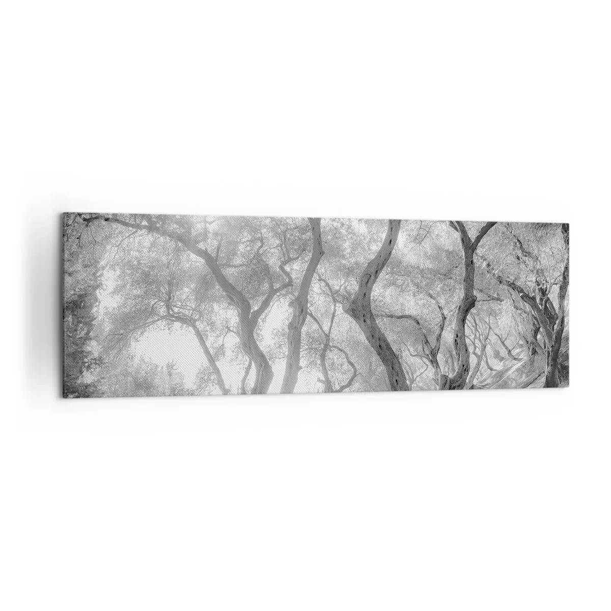 Canvastavla - Bild på duk - I en olivlund - 160x50 cm