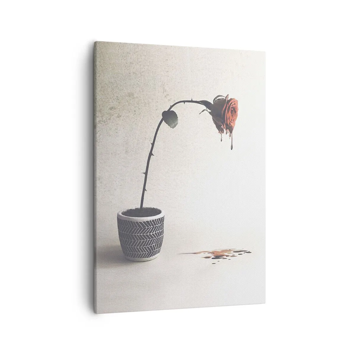 Canvastavla - Bild på duk - Rosa dolorosa - 50x70 cm