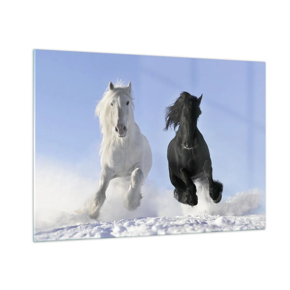 Glastavla - Bild på glas - Svart-vit galopp - 100x70 cm