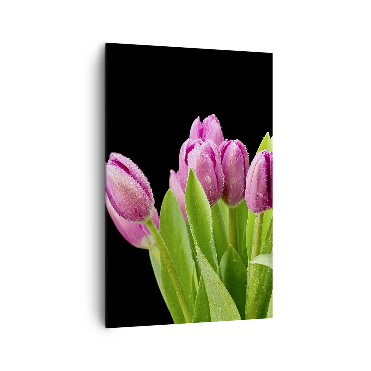 Canvastavla - Bild på duk - Vårens lila glädje - 80x120 cm