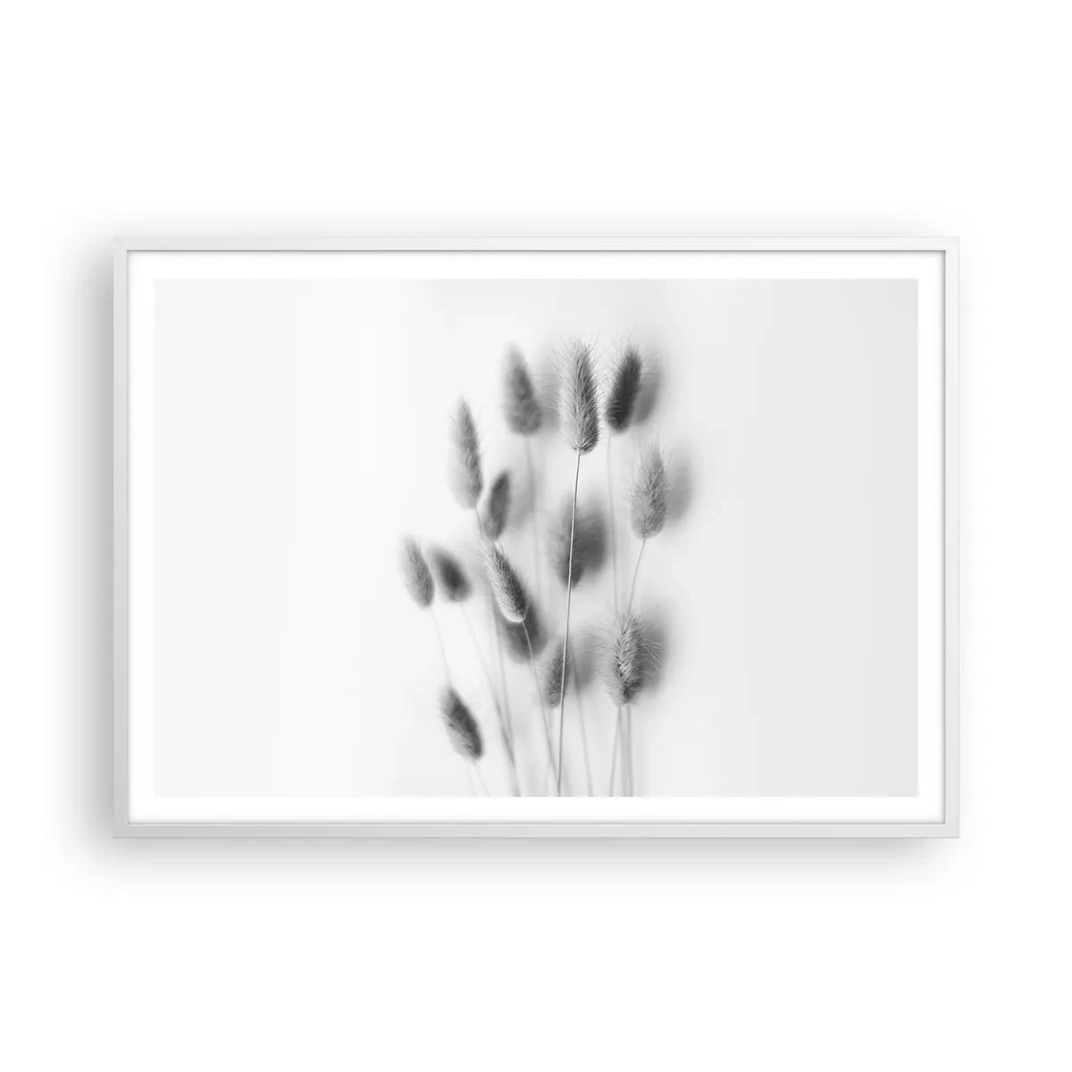 Affisch i vit ram - Fluffigt gräs - 100x70 cm