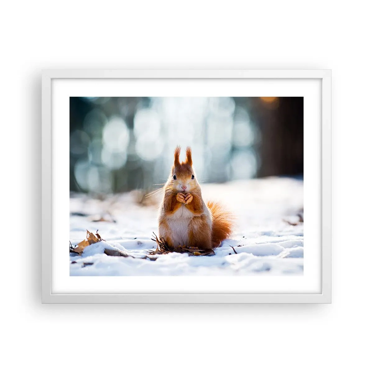 Affisch i vit ram - Vad glor du på? - 50x40 cm