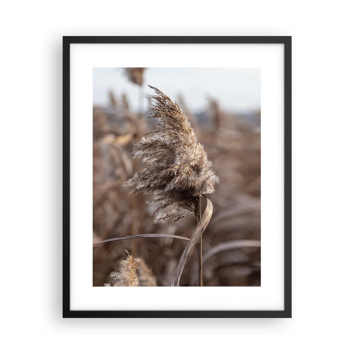 Affisch i svart ram - Dags att flyga bort med vinden - 40x50 cm