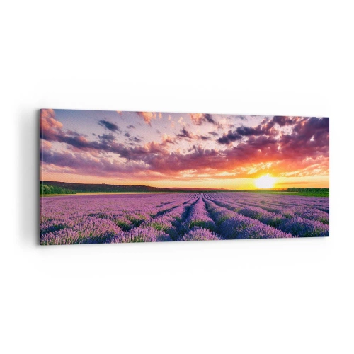 Canvastavla - Bild på duk - Lavandelvärld - 120x50 cm