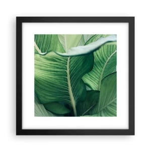 Affisch i svart ram - Livet intensivt grönt - 30x30 cm