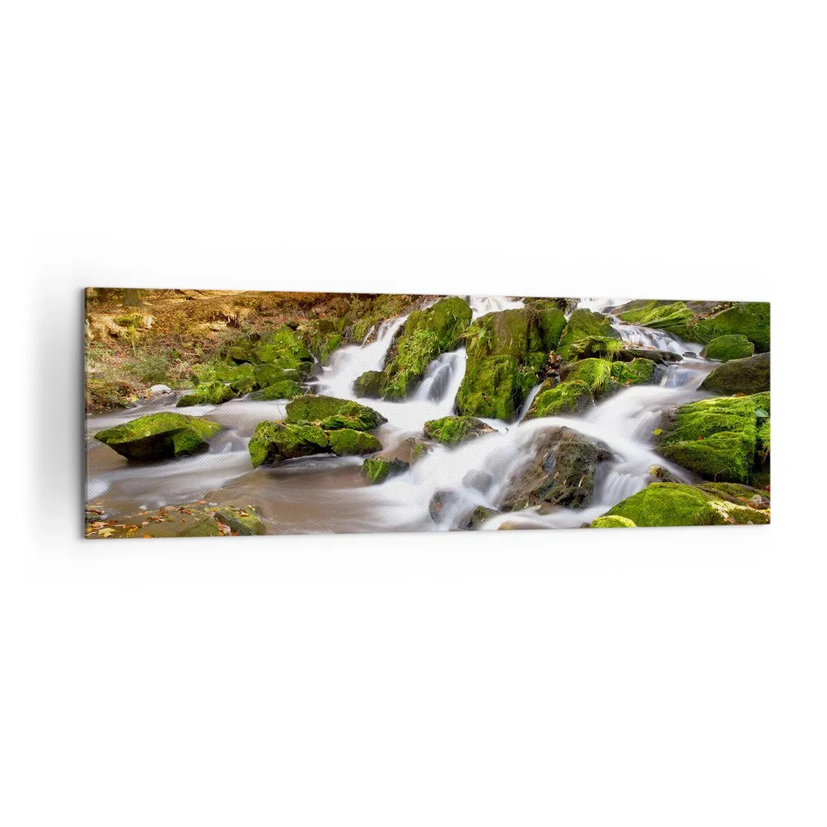 Canvastavla - Bild på duk - Kvickt genom höstskogen - 160x50 cm