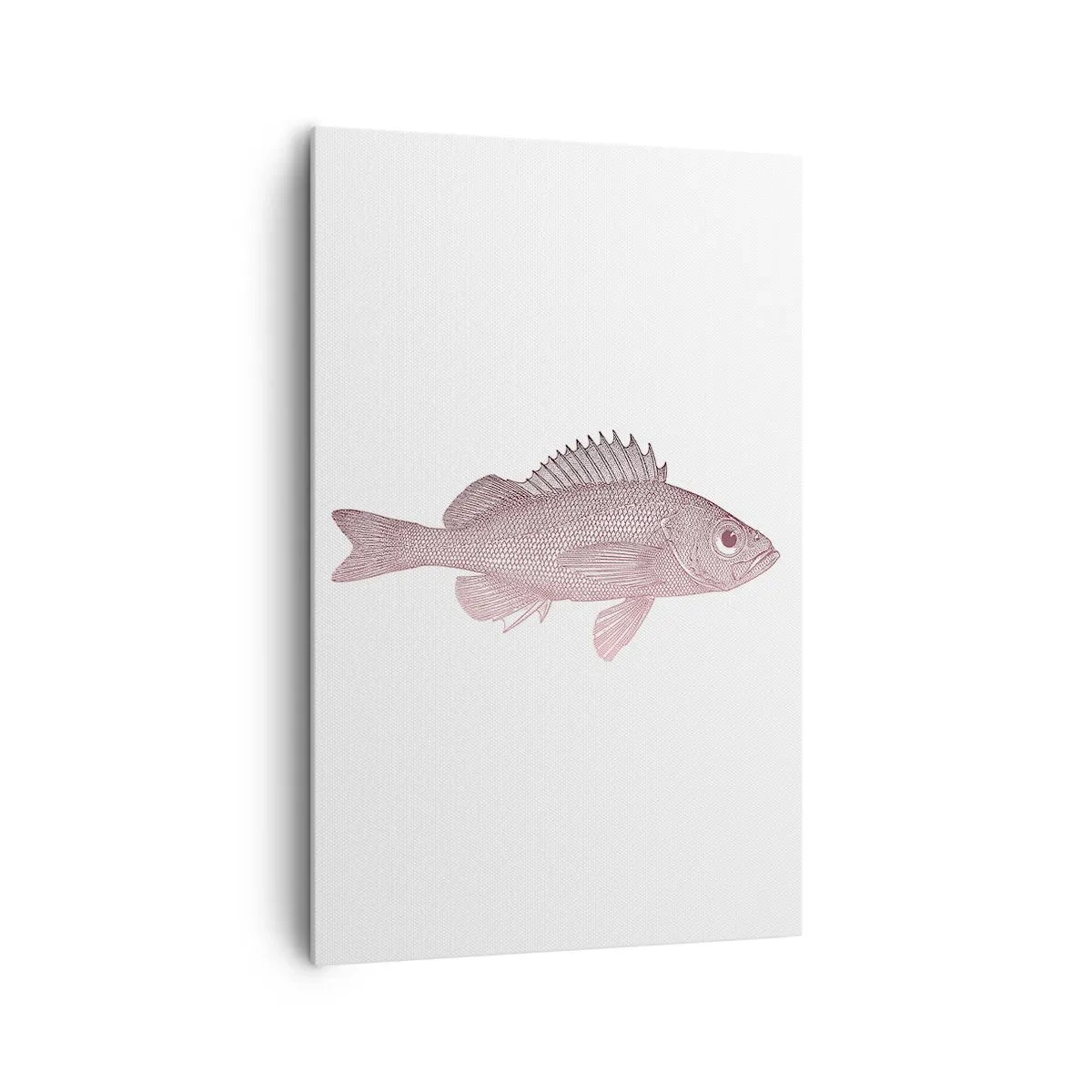 Canvastavla - Bild på duk - Storögd fisk - 80x120 cm