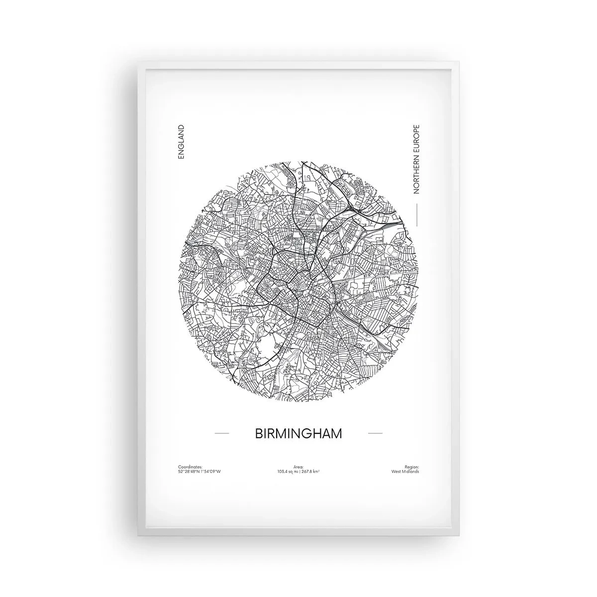 Affisch i vit ram - Birminghams anatomi - 61x91 cm