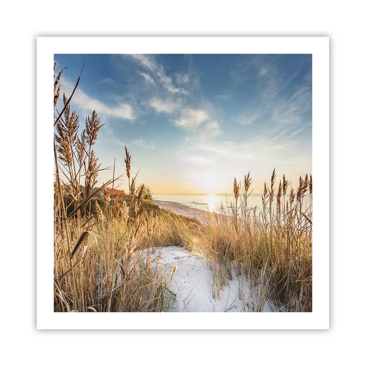 Affisch - Nordlig strand - 60x60 cm