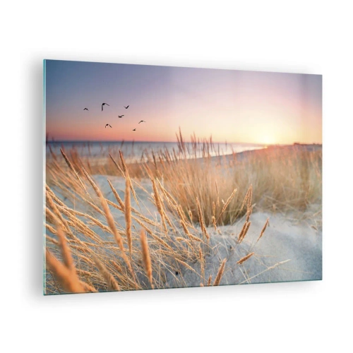 Glastavla - Bild på glas - En strand med gräs och solnedgången över havet - 70x50cm - Östersjövaggvisa - Modern väggdekoration för vardagsrum och sovrum ARTTOR