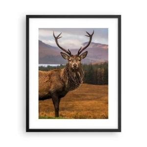 Affisch i svart ram - Naturens majestät - 40x50 cm