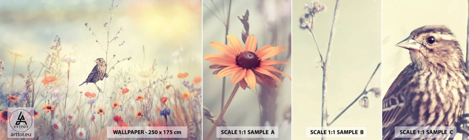 Provbit av självhäftande fototapet Deluxe Sticker - Fågelporträtt med en äng i bakgrunden - Fågel, Äng, Natur - 100x30 cm