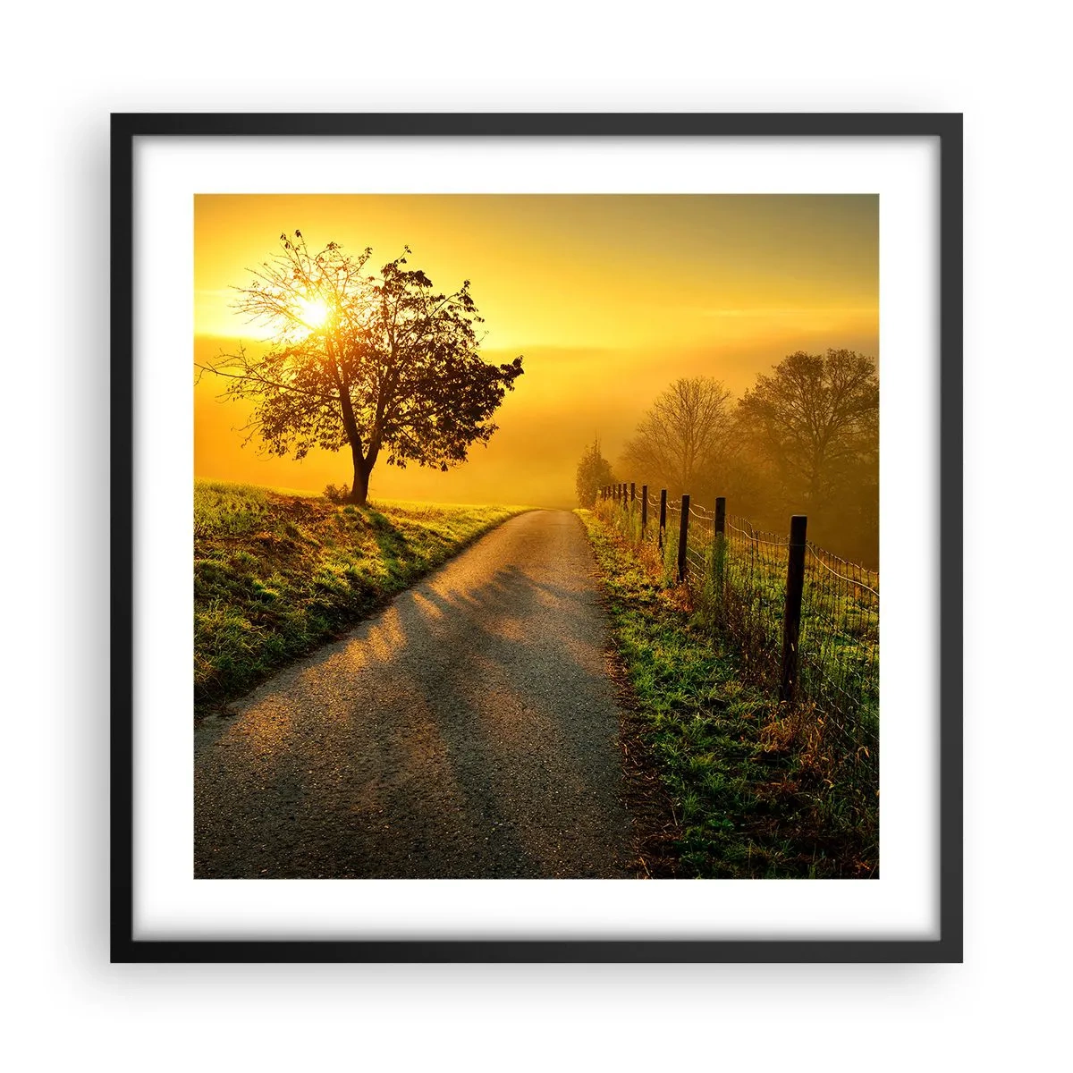Affisch i svart ram - Honungfärgad eftermiddag - 50x50 cm