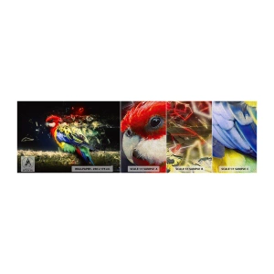 Provbit av fototapet Premium Canvas - Skenets bud - Abstraktion, Papegoja, Fågel - 100x30 cm