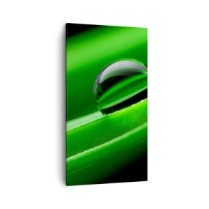 Canvastavla - Bild på duk - Livet på nära håll - 45x80 cm