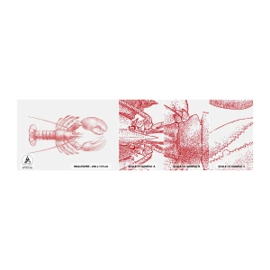 Provbit av självhäftande fototapet Deluxe Sticker - Hummer värdig Homer - Hummer, Skaldjur, Skaldjur - 100x30 cm