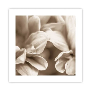 Affisch - Milda som ett leende - 40x40 cm