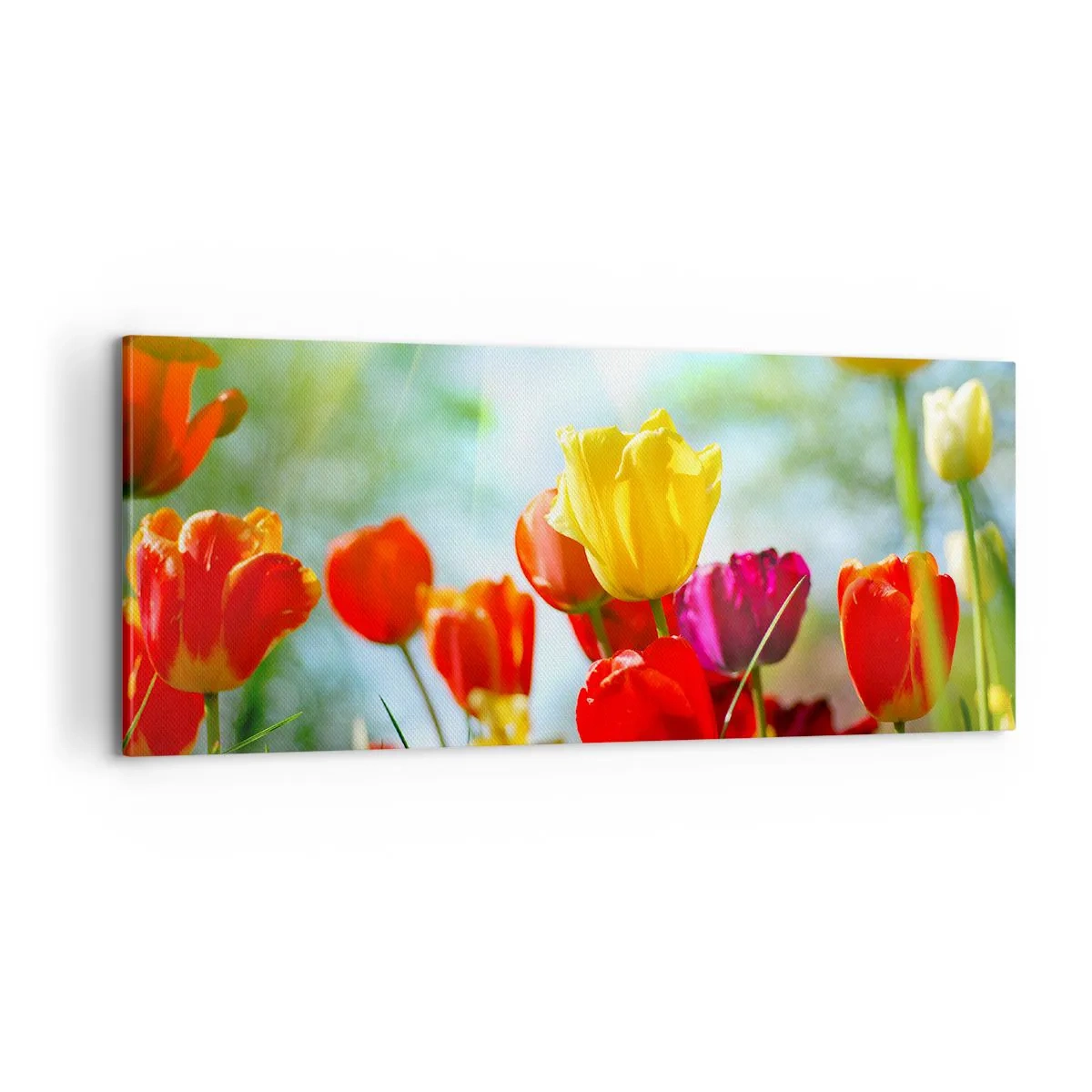 Canvastavla - Bild på duk - Solens alla färger - 100x40 cm